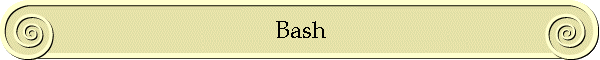 Bash