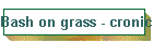 Bash on grass - croniche