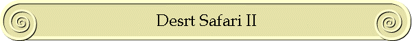 Desrt Safari II